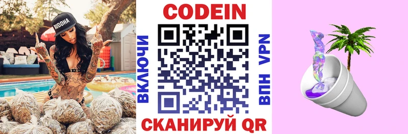 Купить закладки  Новая Ладога  Кодеин Purple Drank 