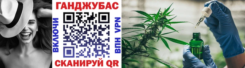 Купить где  Новая Ладога  Канабис семена 